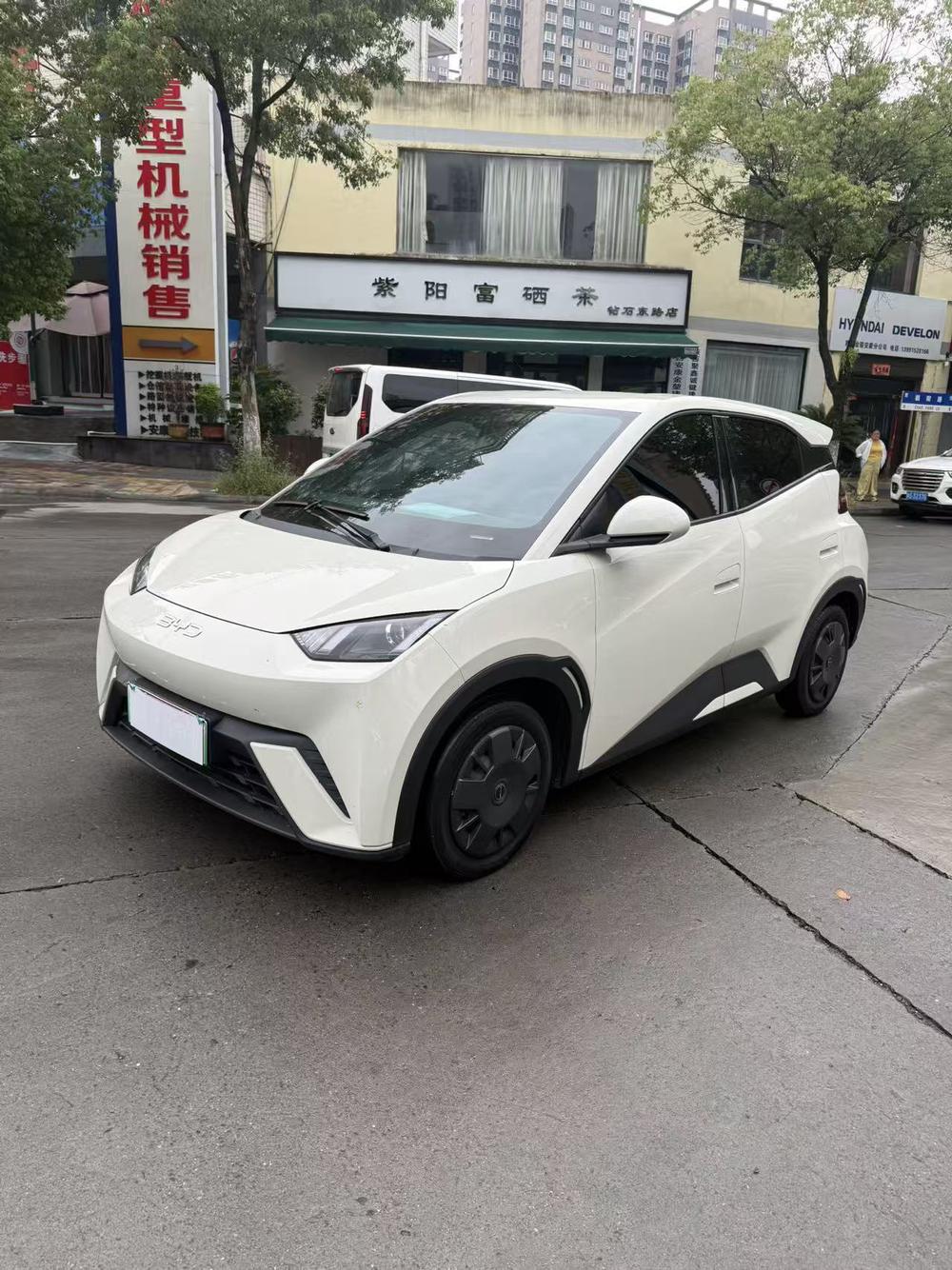 BYD Seagull