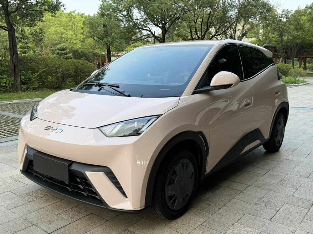 BYD Seagull