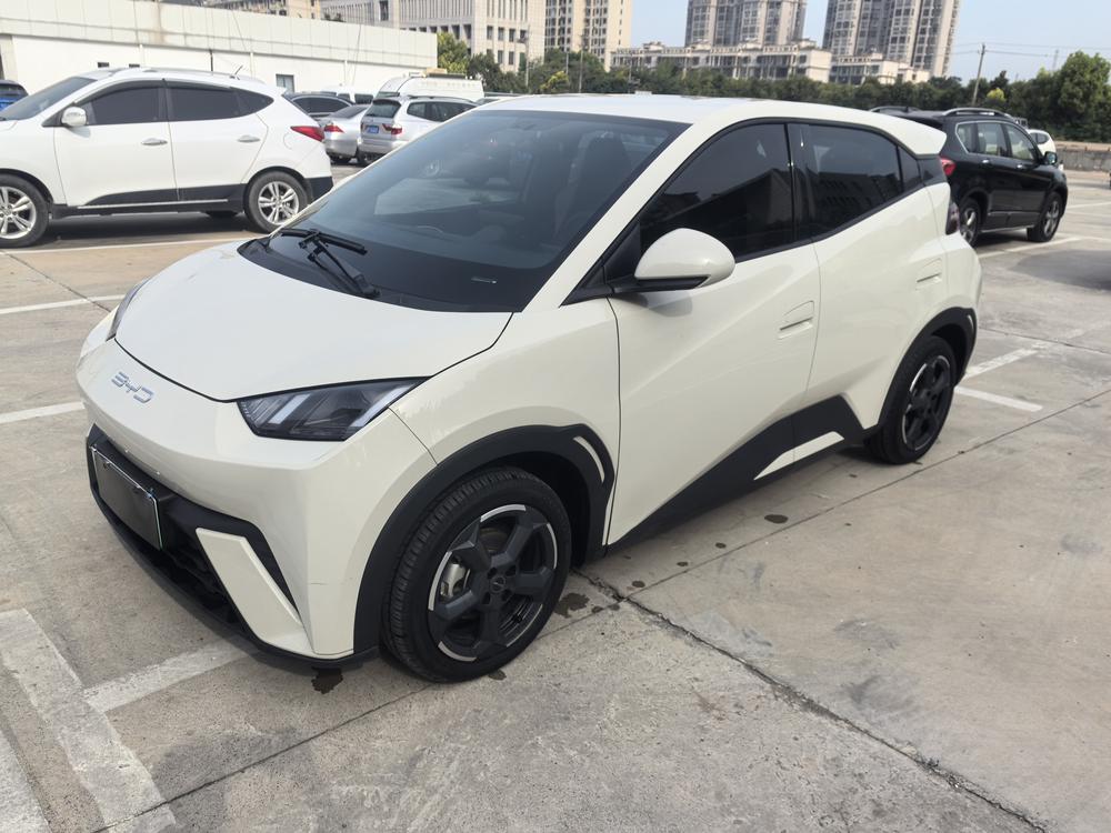 BYD Seagull