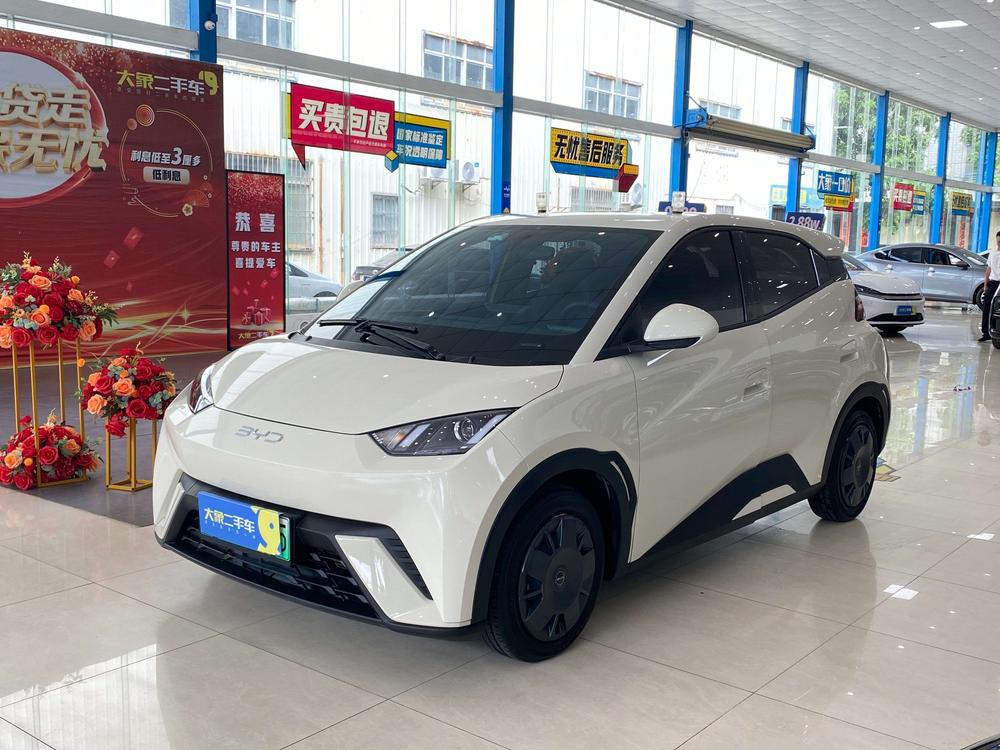 BYD Seagull