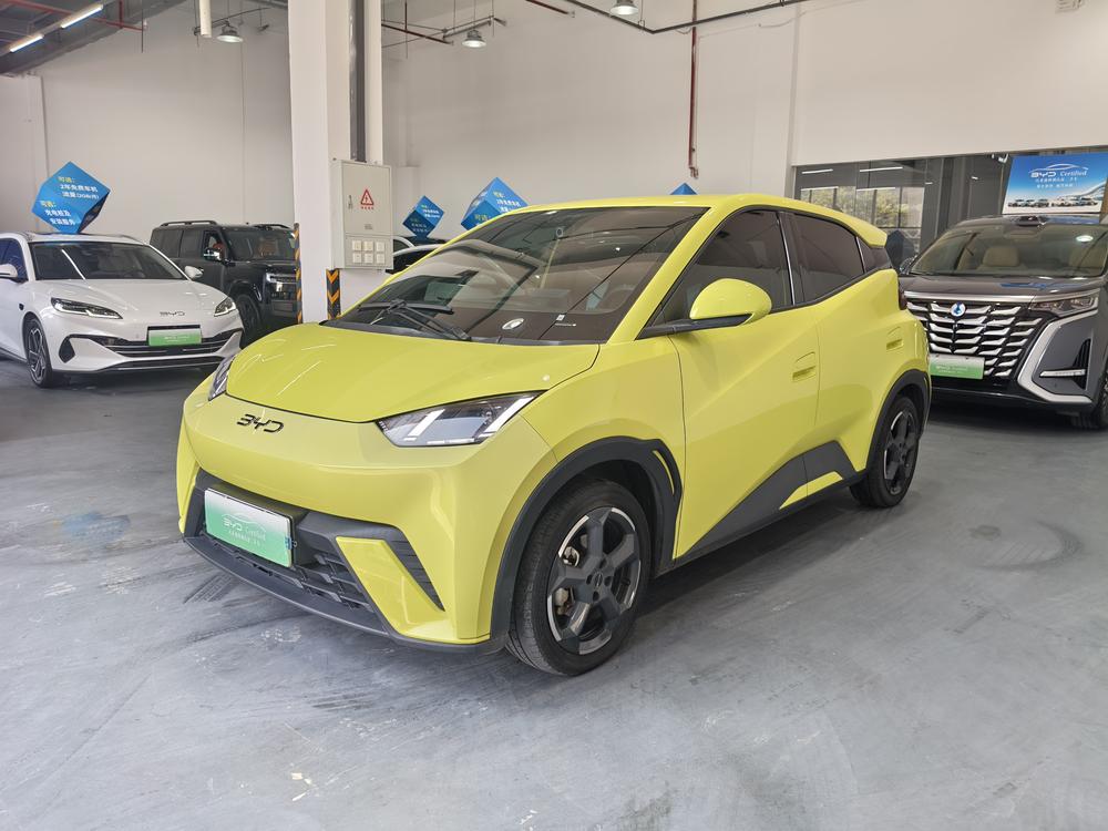 BYD Seagull