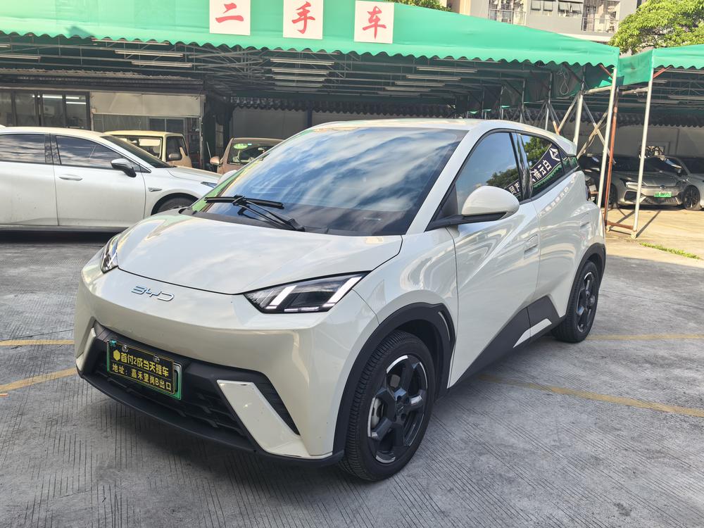 BYD Seagull