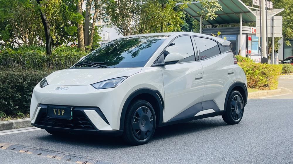 BYD Seagull