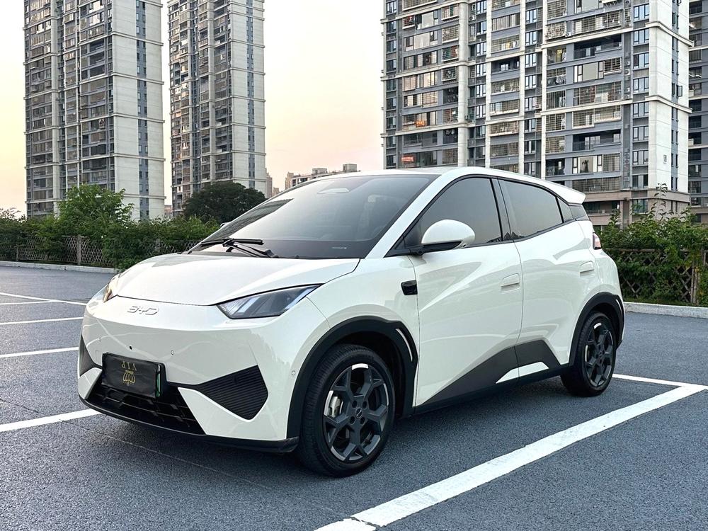 BYD Seagull