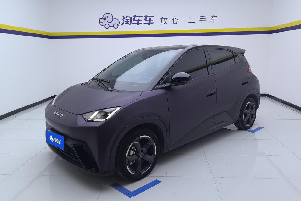 BYD Seagull