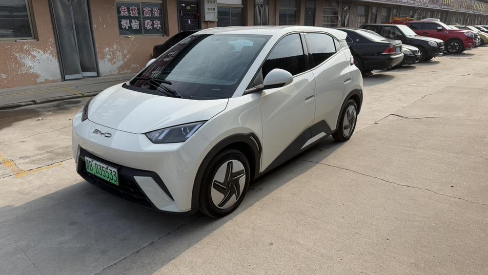 BYD Seagull