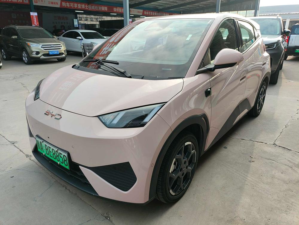 BYD Seagull