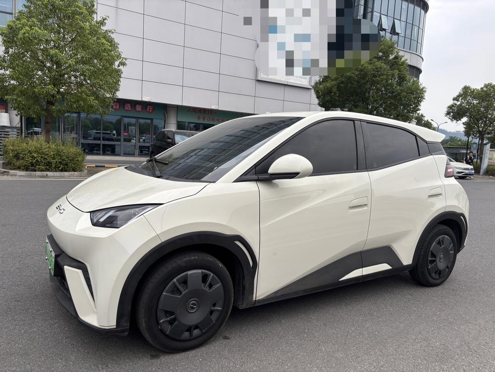 BYD Seagull