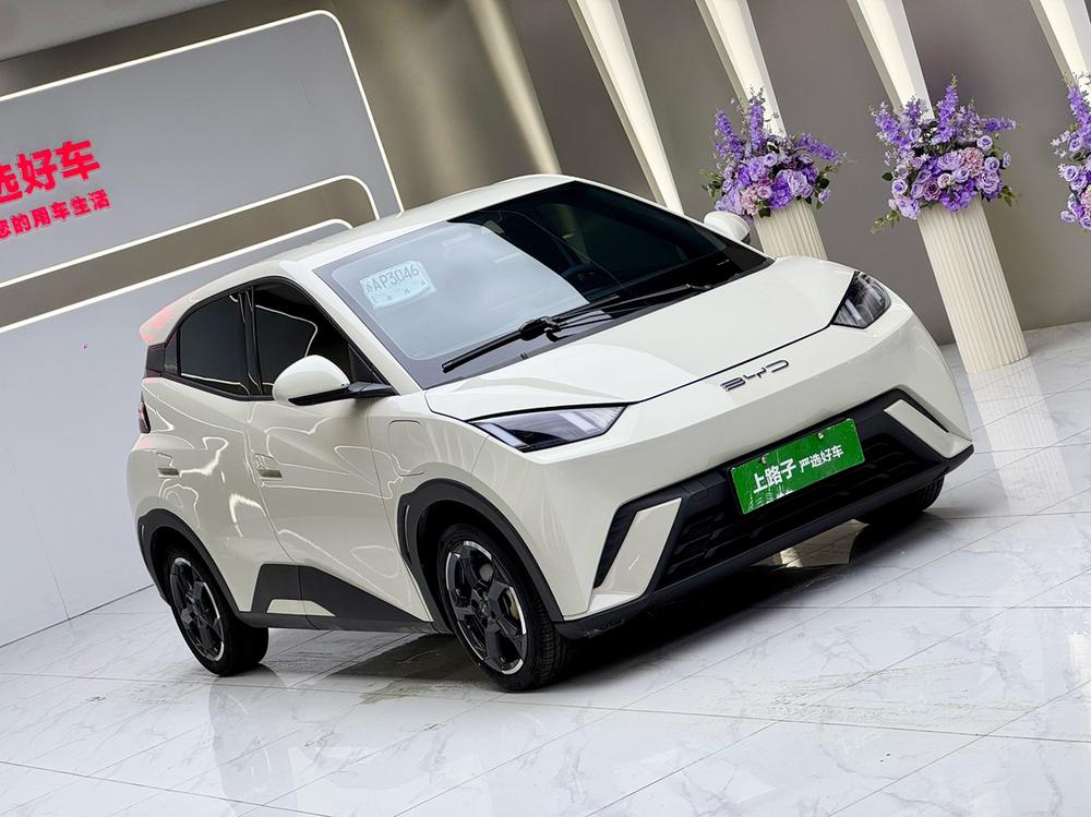 BYD Seagull