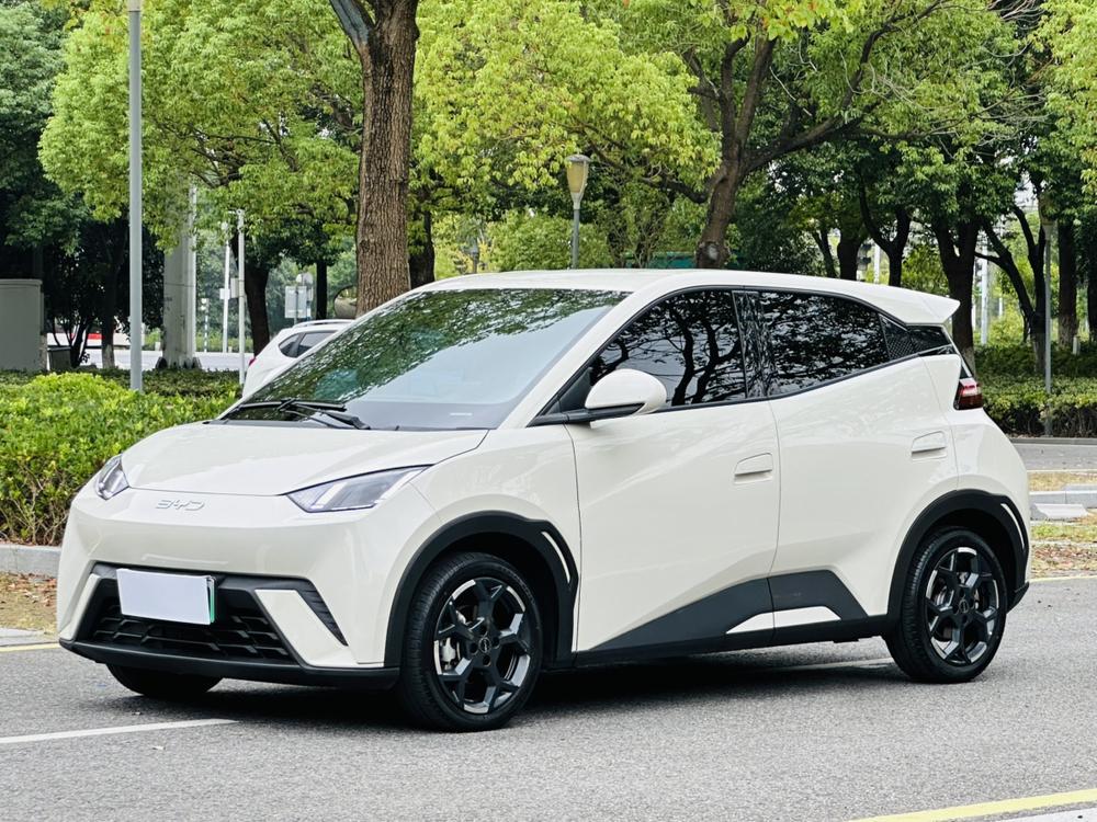BYD Seagull