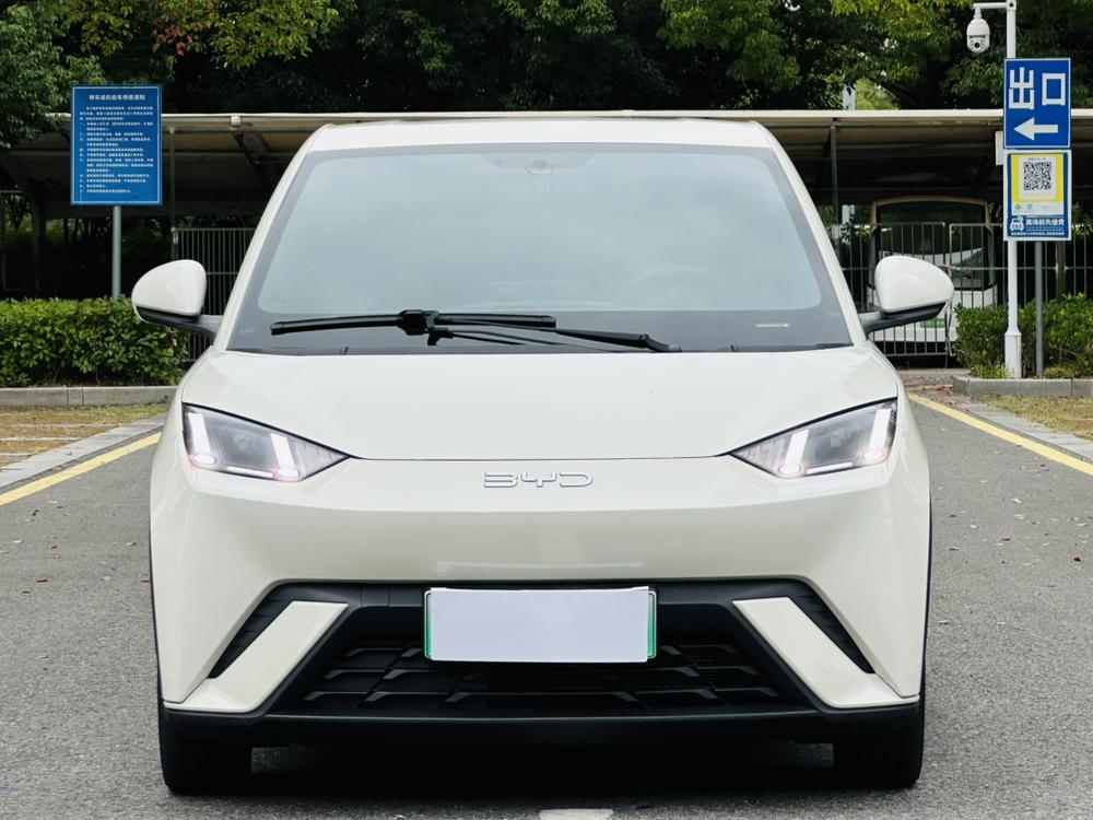 BYD Seagull