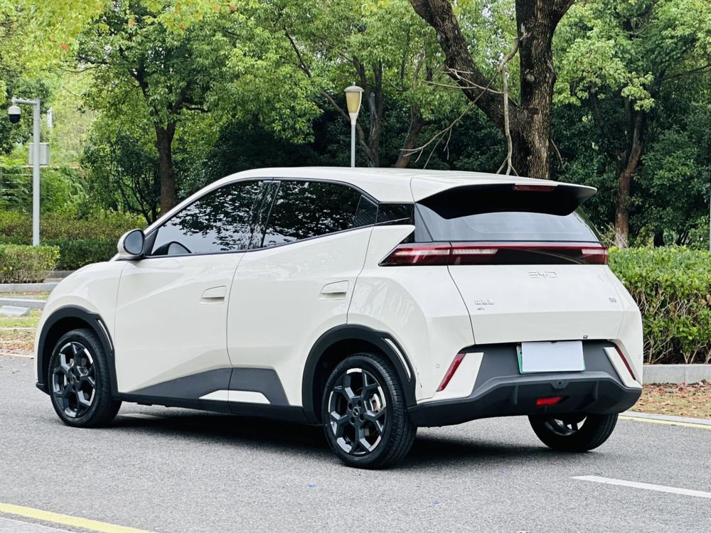 BYD Seagull