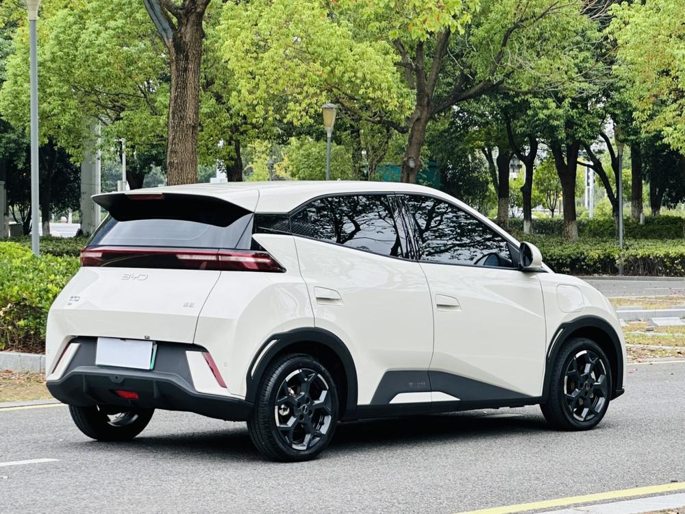 BYD Seagull