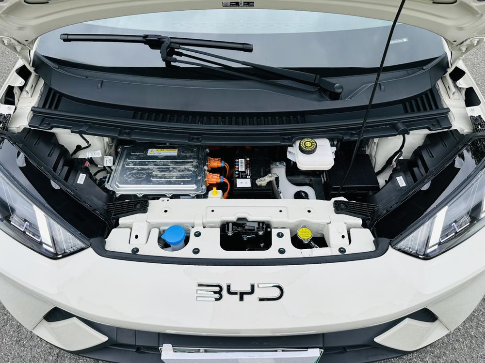 BYD Seagull