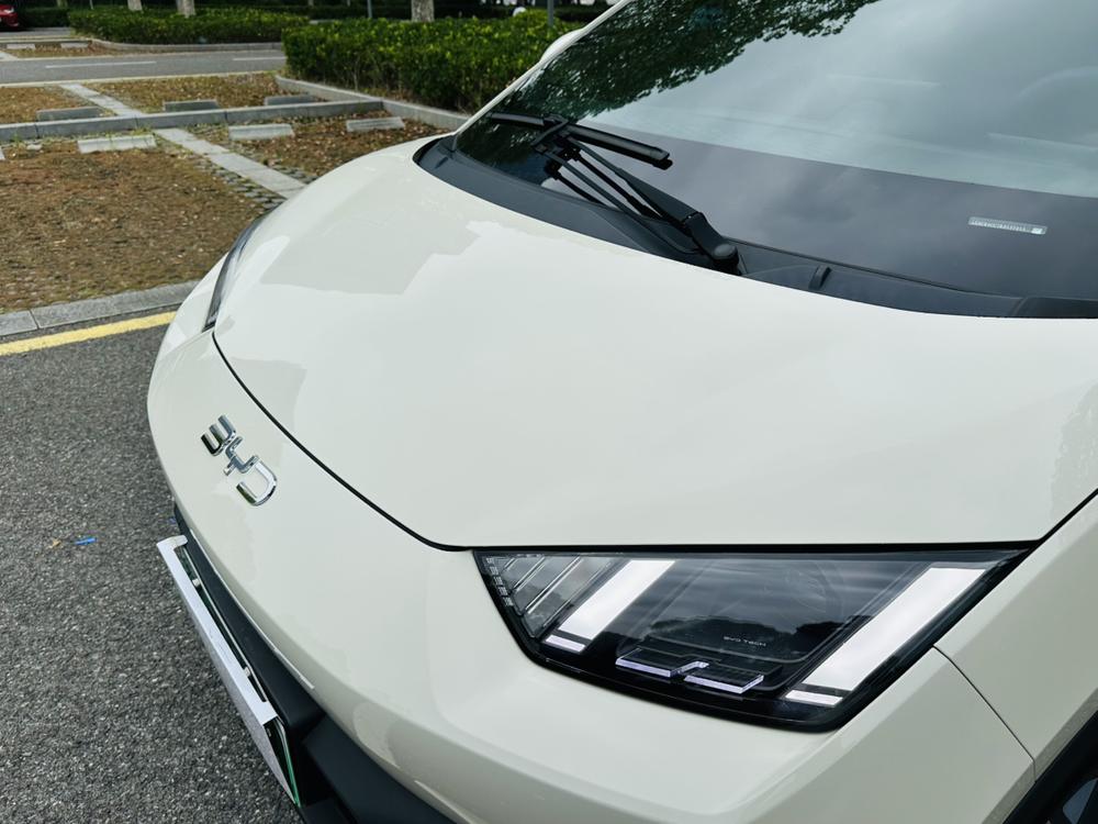 BYD Seagull