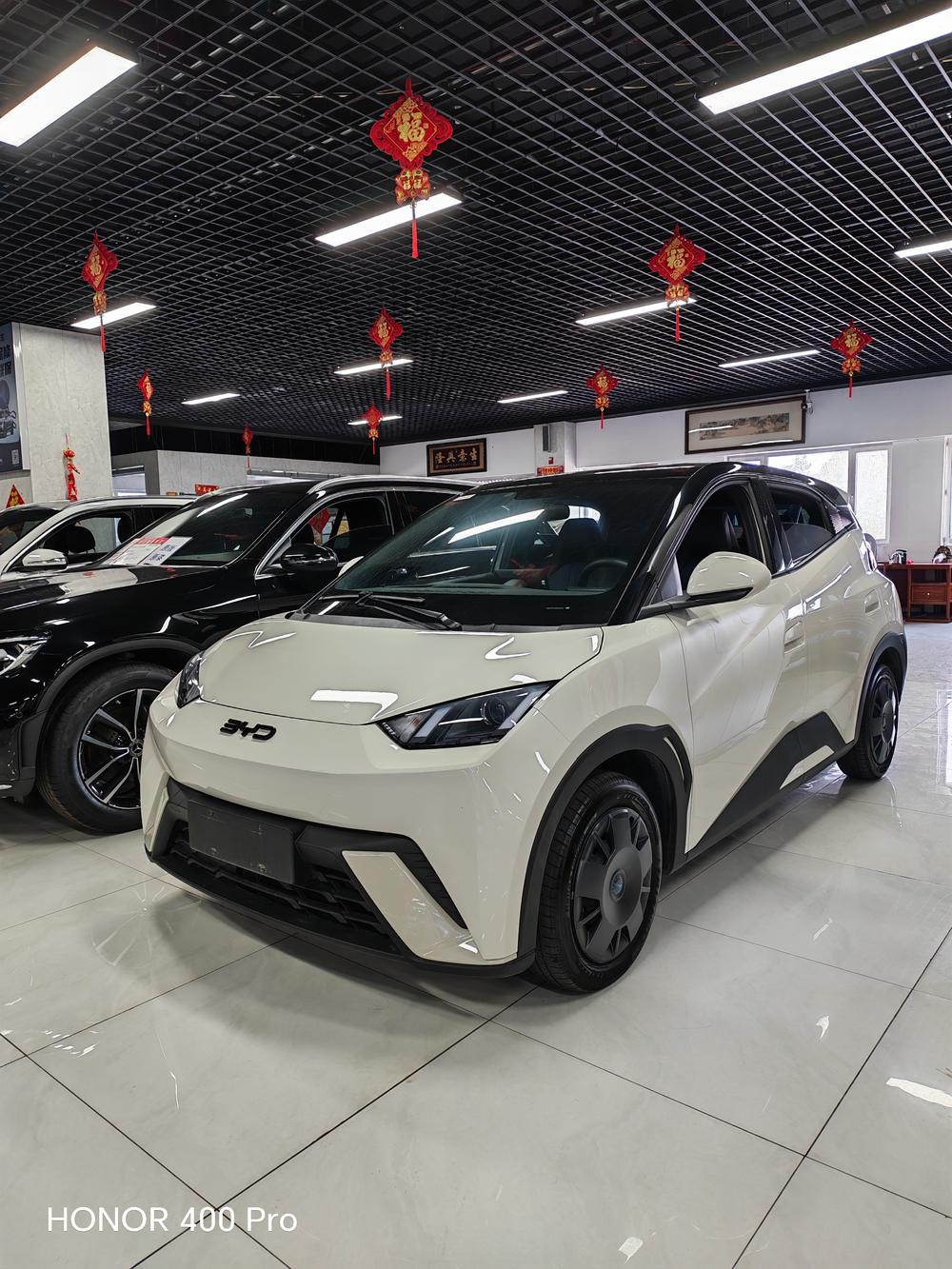 BYD Seagull