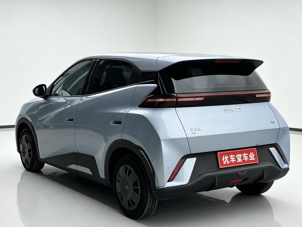 BYD Seagull