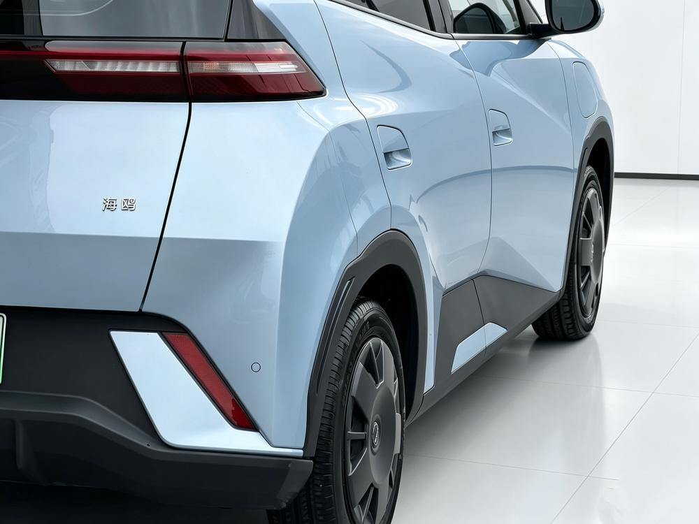 BYD Seagull