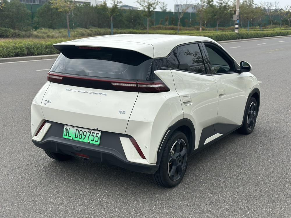BYD Seagull