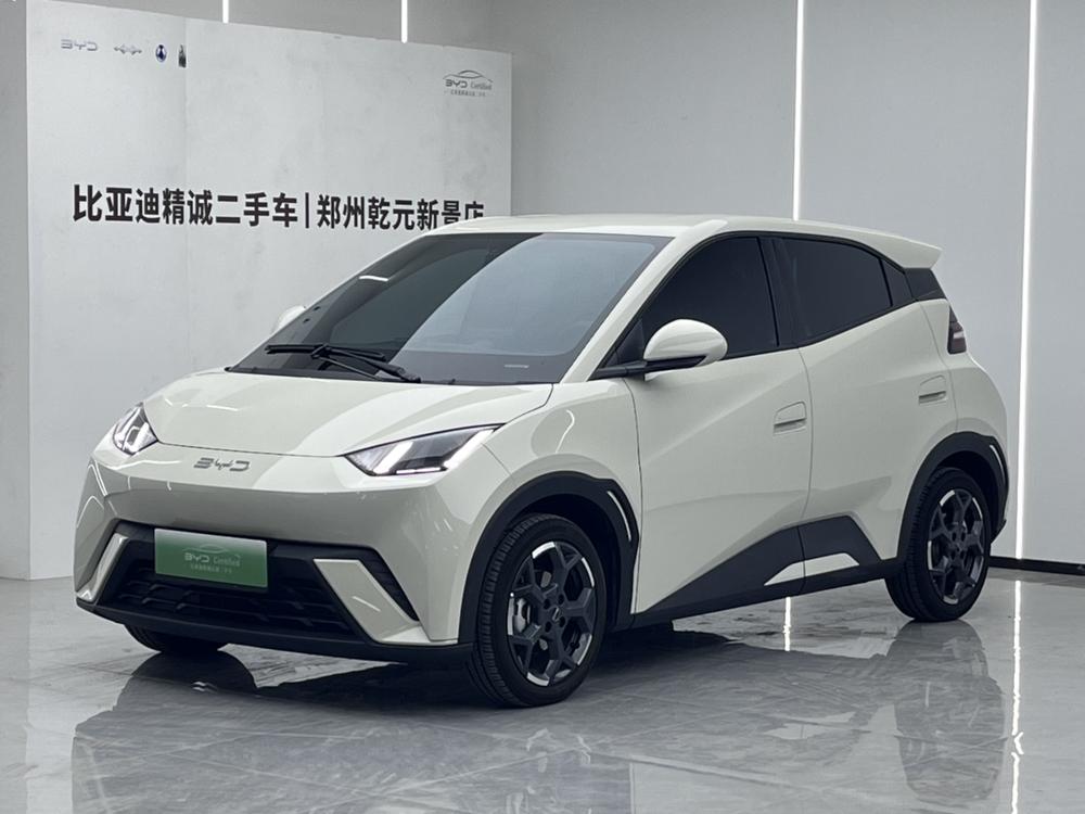 BYD Seagull