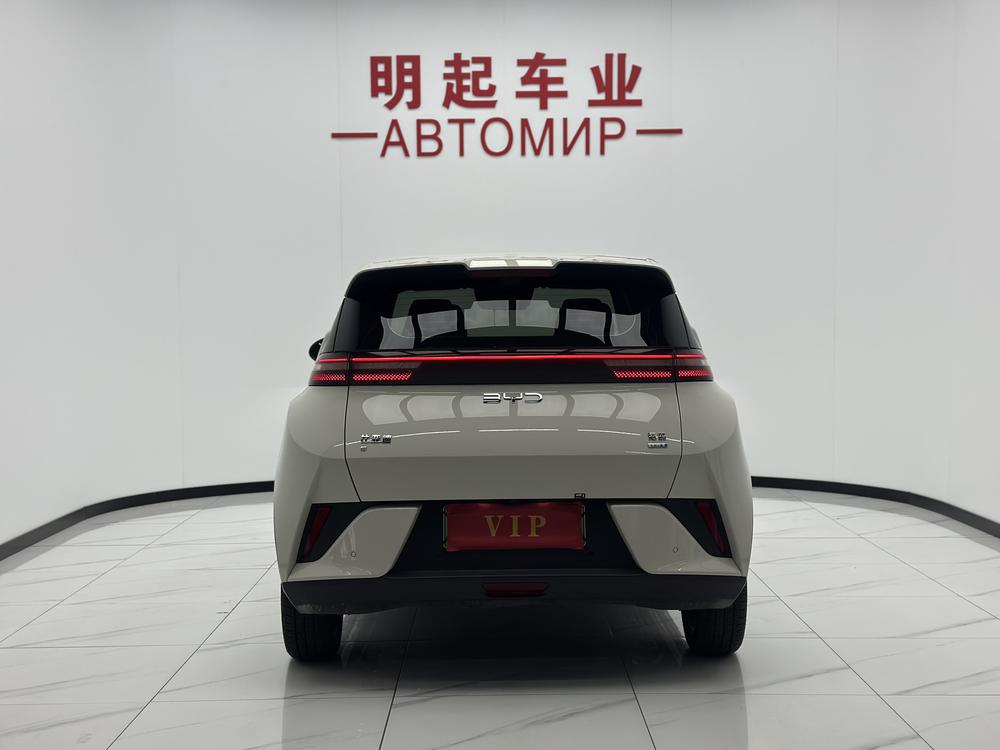 BYD Seagull