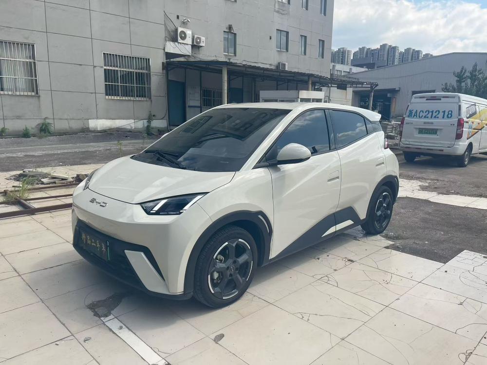BYD Seagull