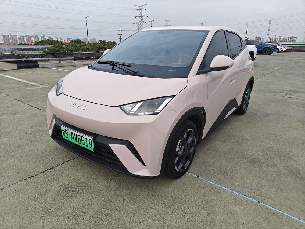 BYD Seagull