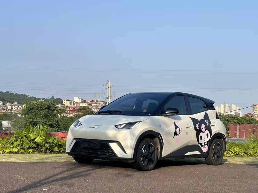 BYD Seagull