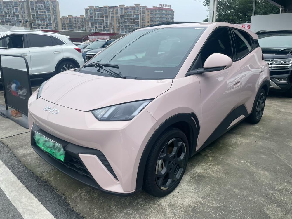 BYD Seagull