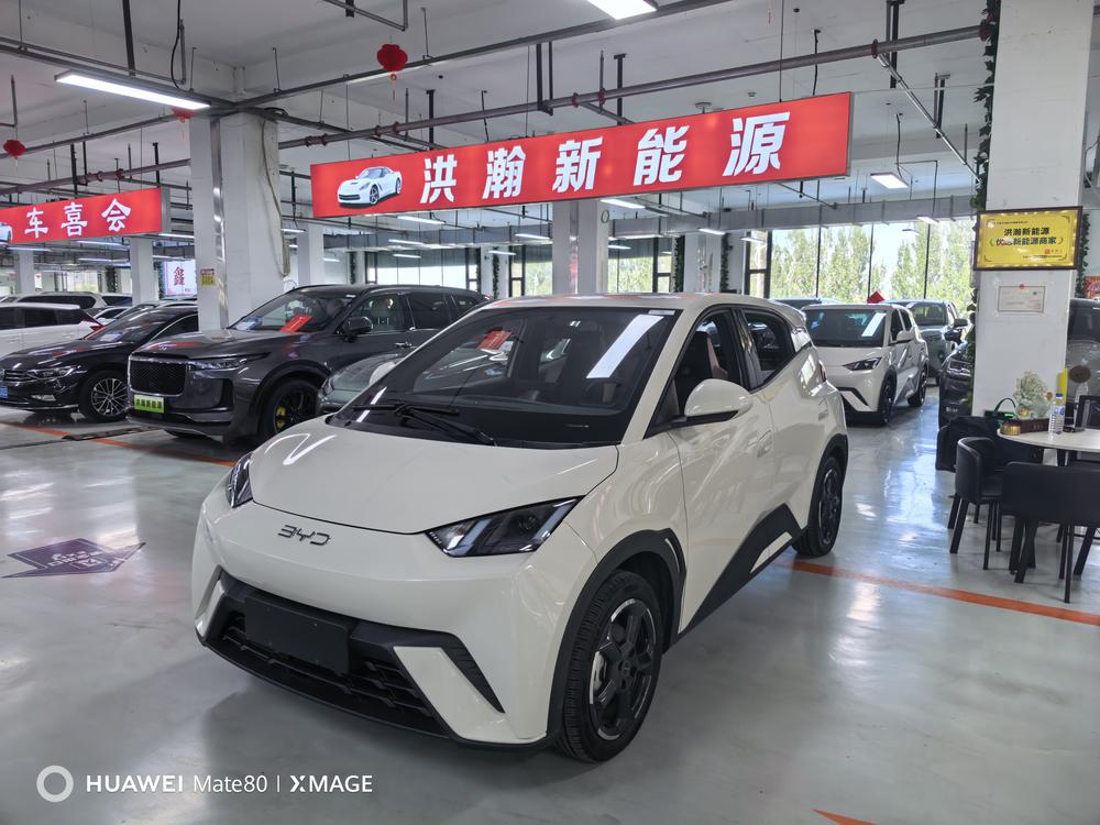 BYD Seagull