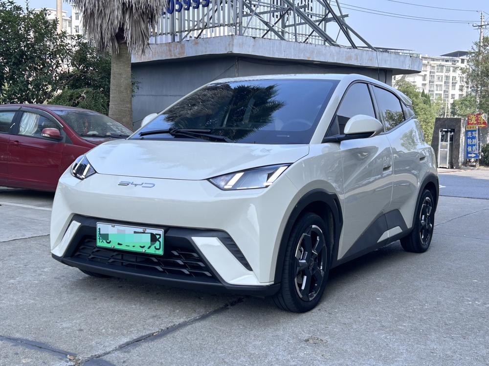 BYD Seagull