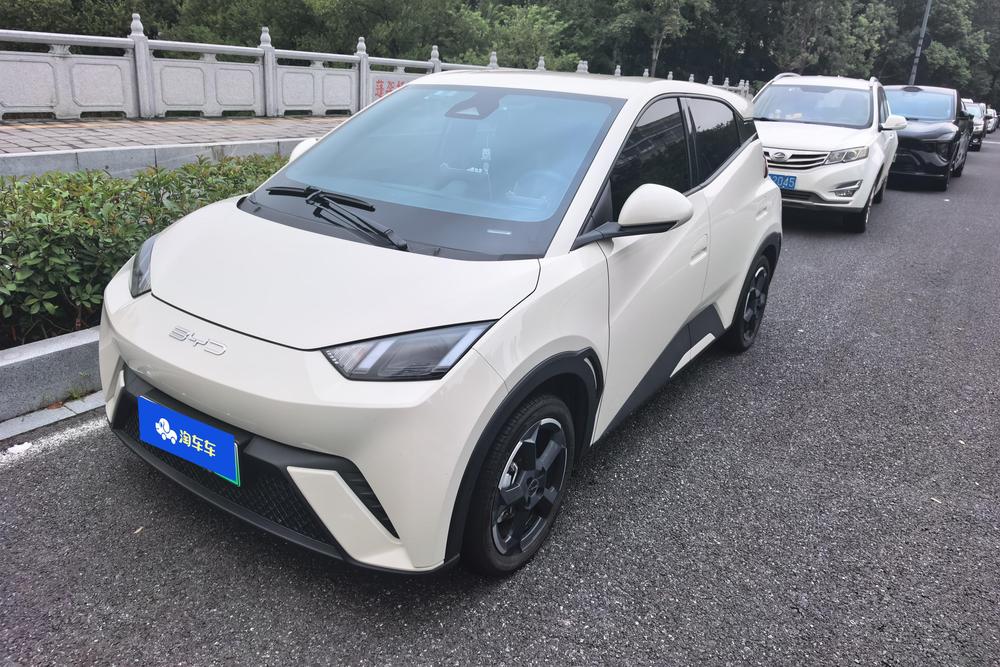 BYD Seagull