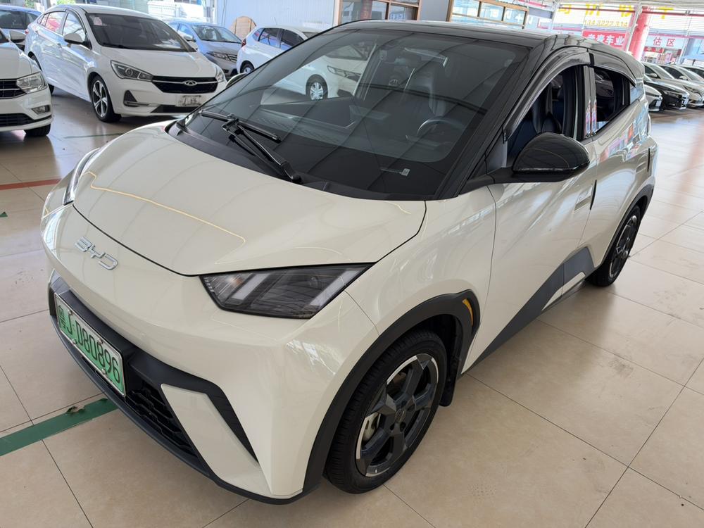 BYD Seagull