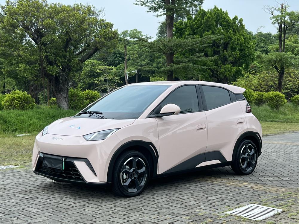 BYD Seagull