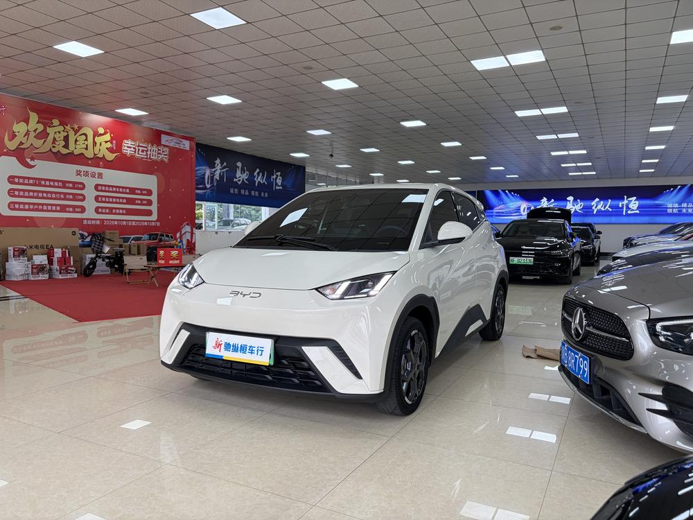BYD Seagull