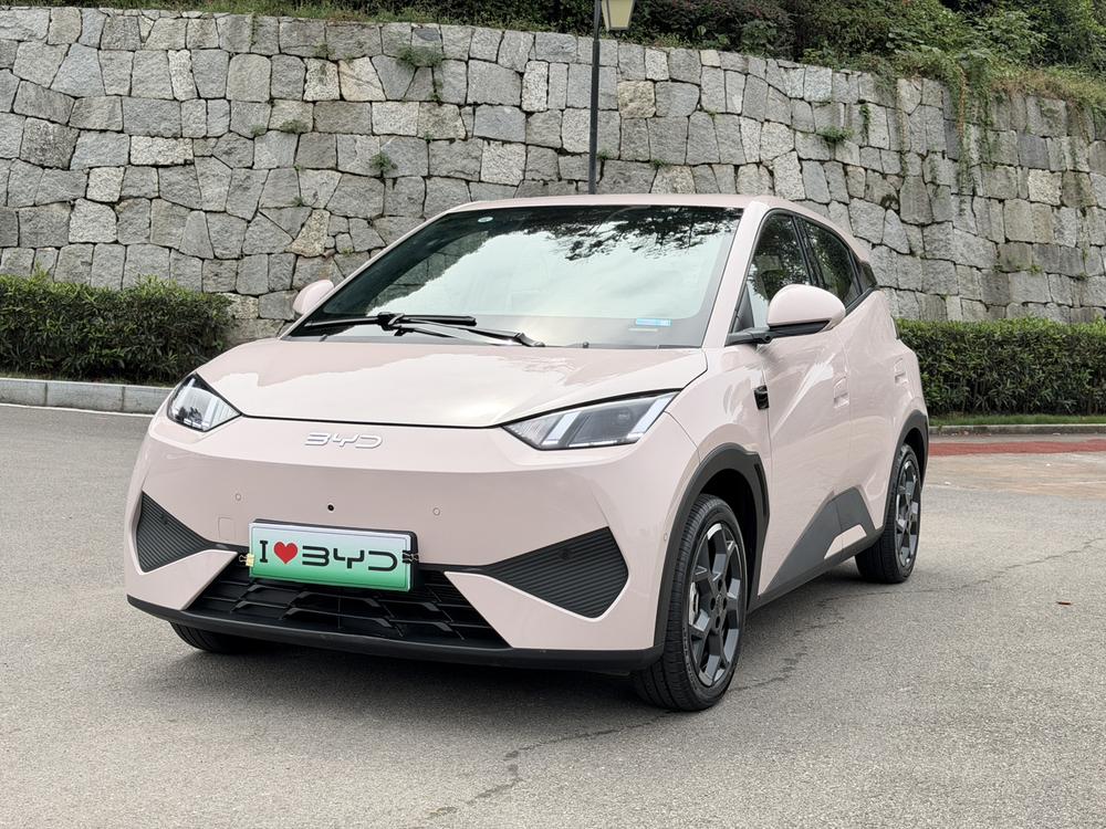 BYD Seagull