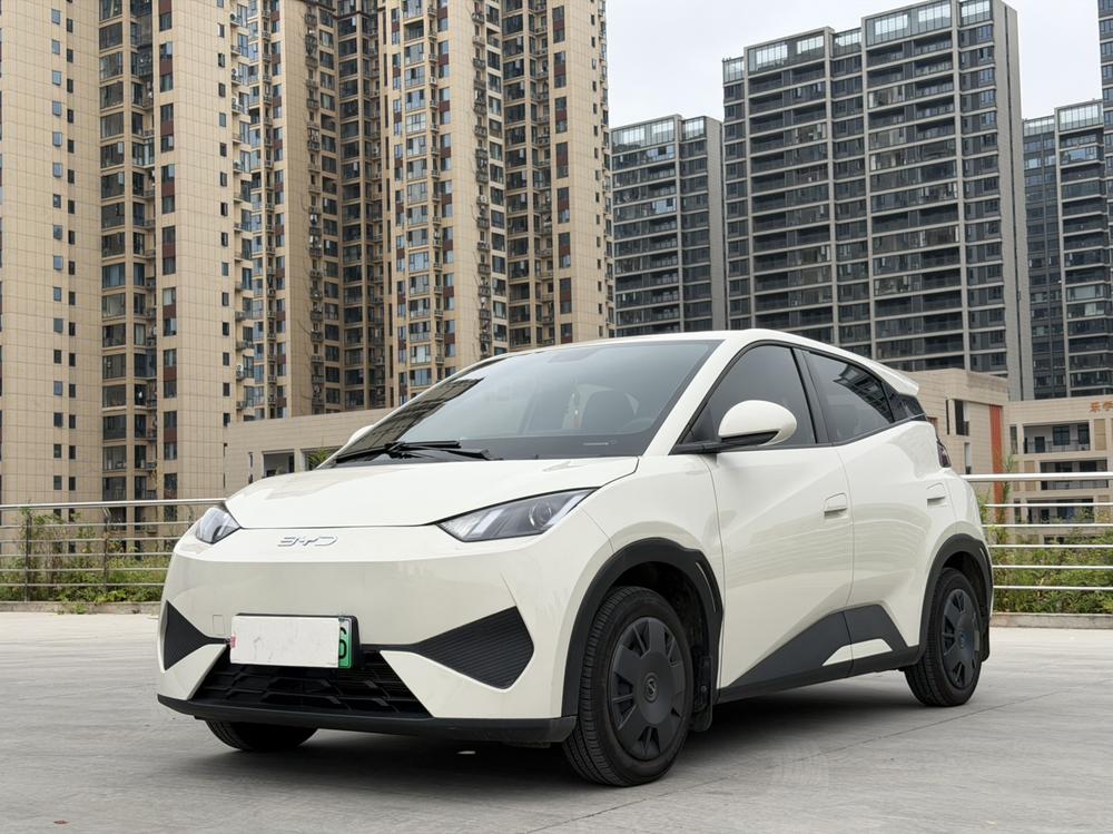 BYD Seagull