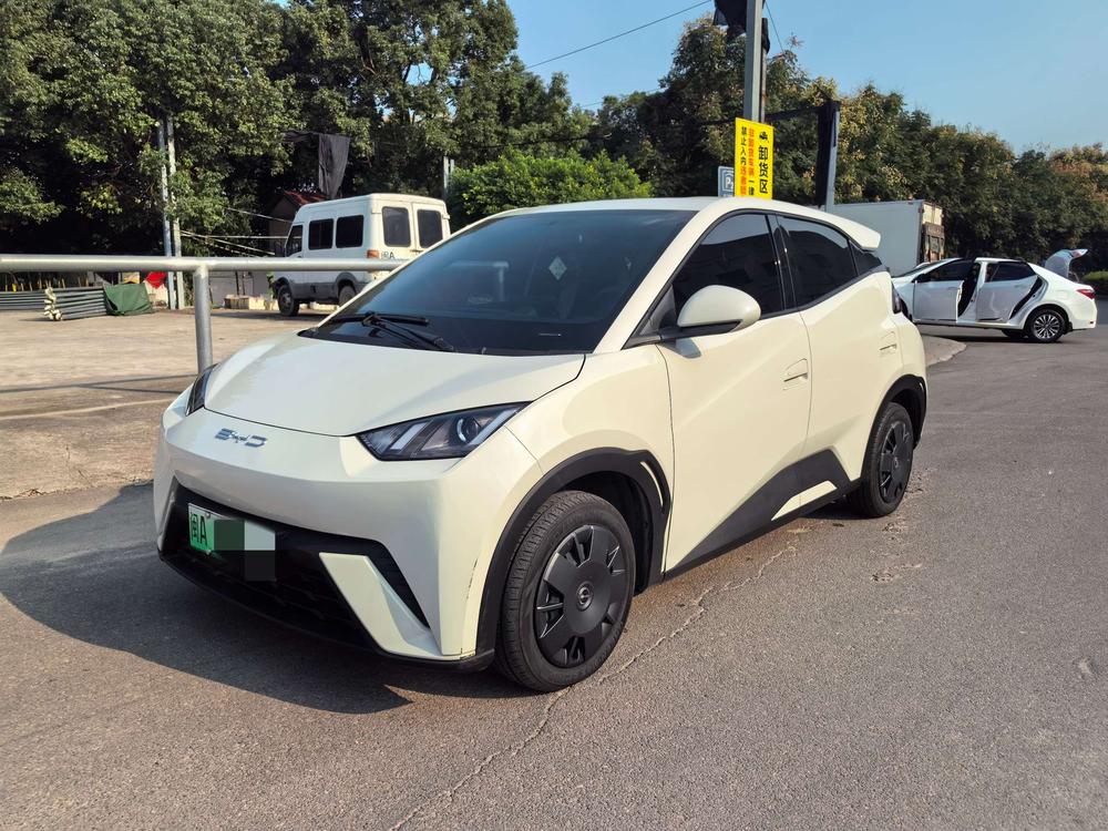 BYD Seagull