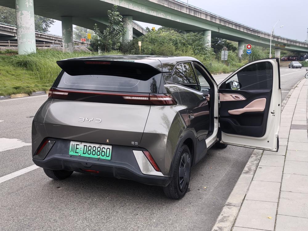 BYD Seagull