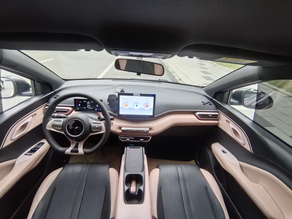 BYD Seagull
