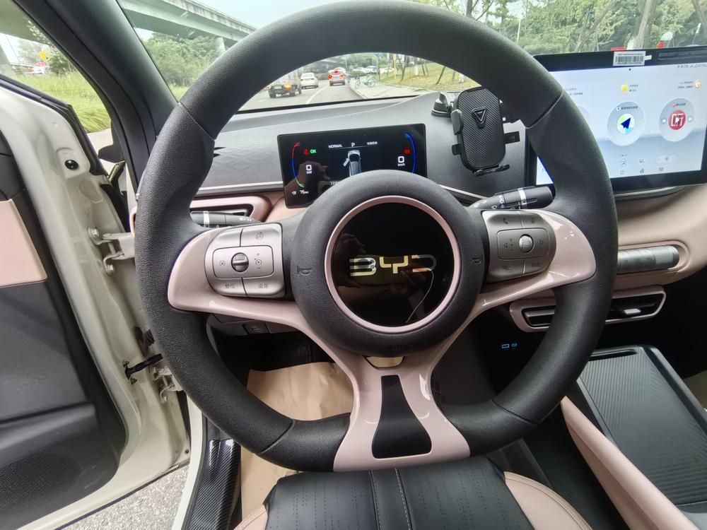 BYD Seagull