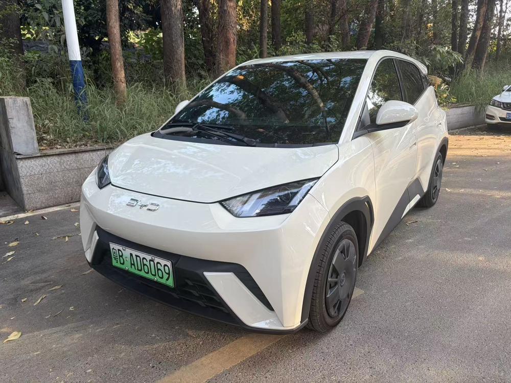 BYD Seagull