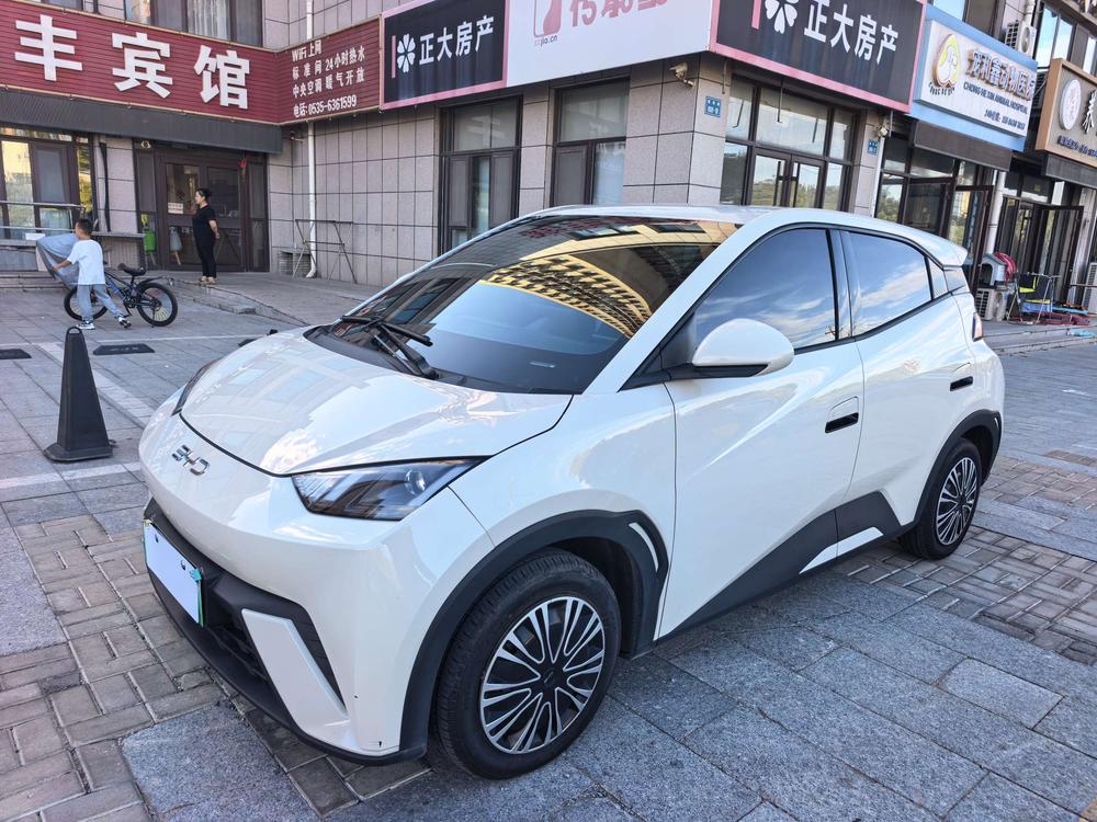 BYD Seagull