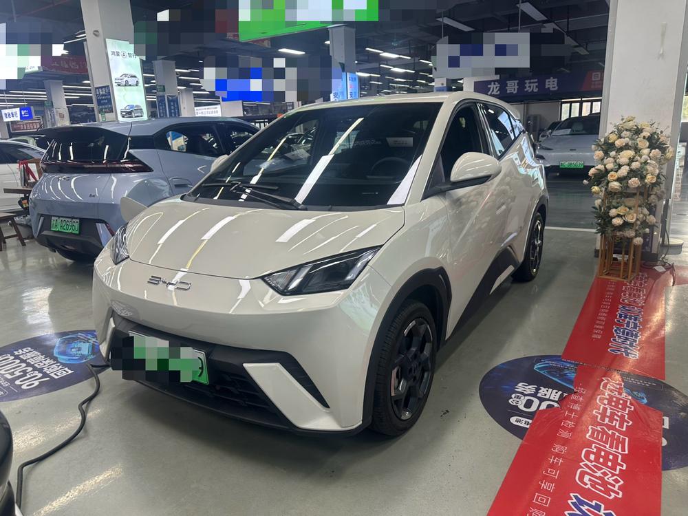 BYD Seagull