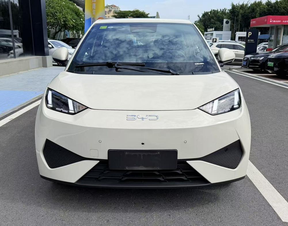 BYD Seagull