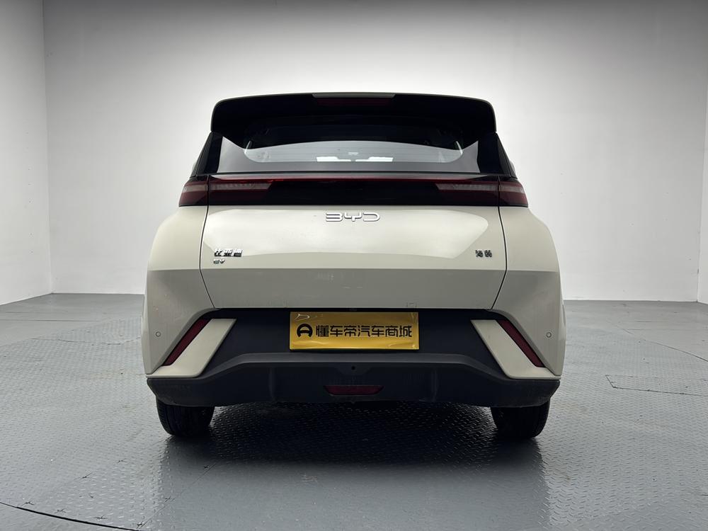 BYD Seagull