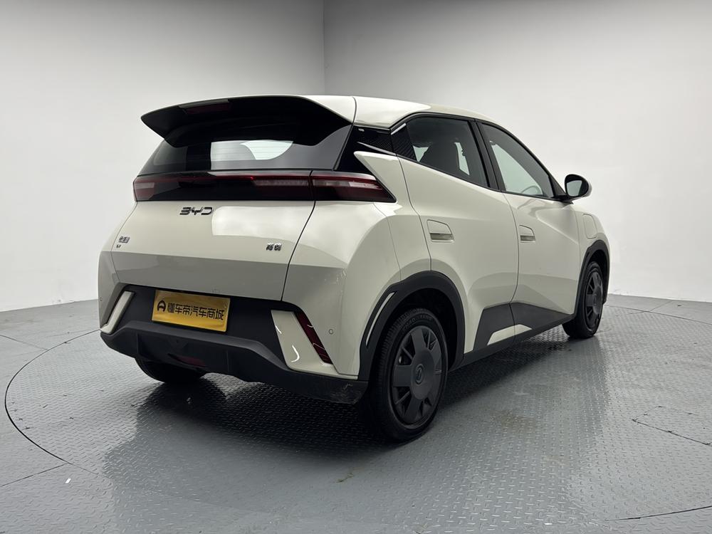 BYD Seagull