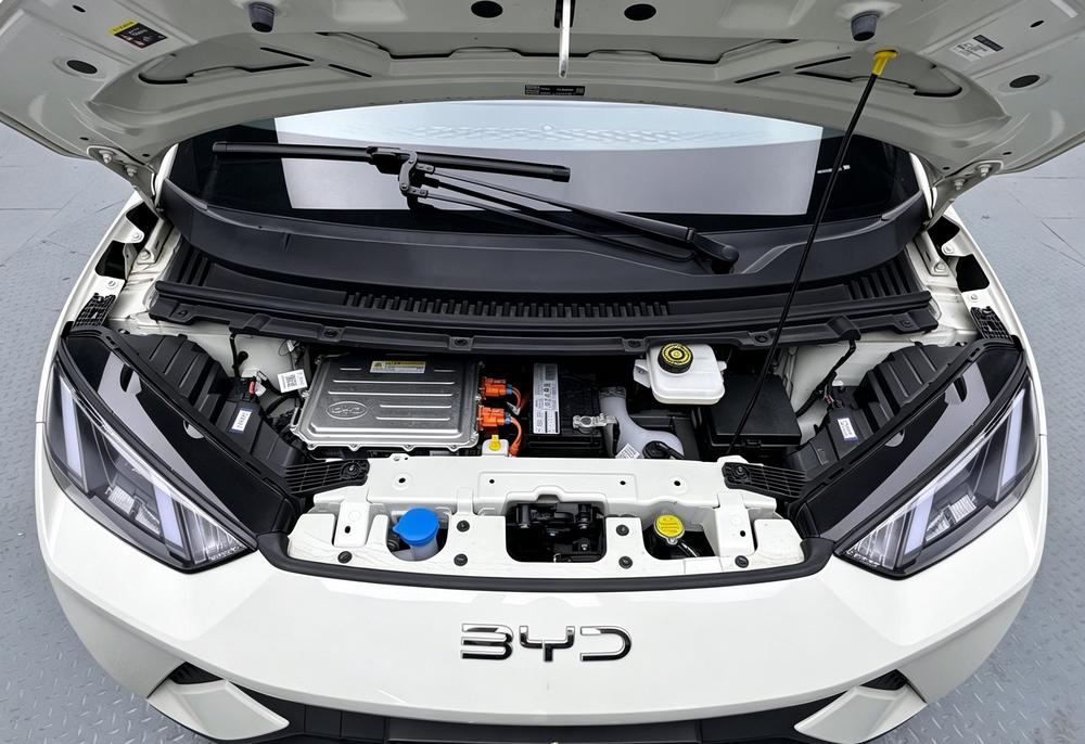 BYD Seagull