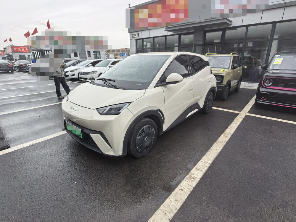 BYD Seagull