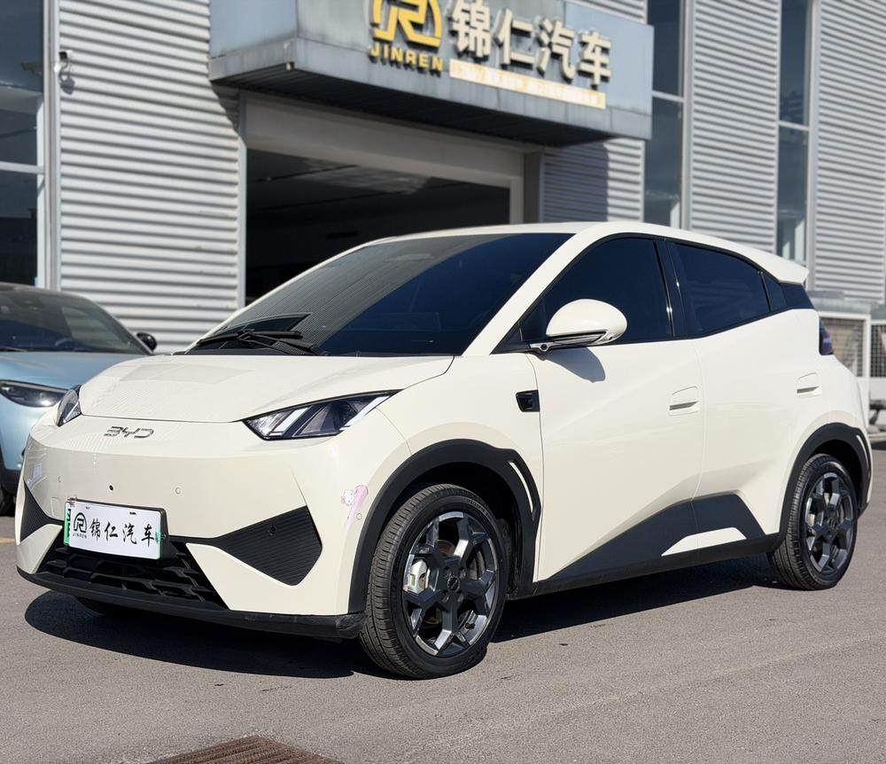 BYD Seagull